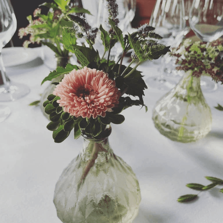 Botanisk inspirasjon