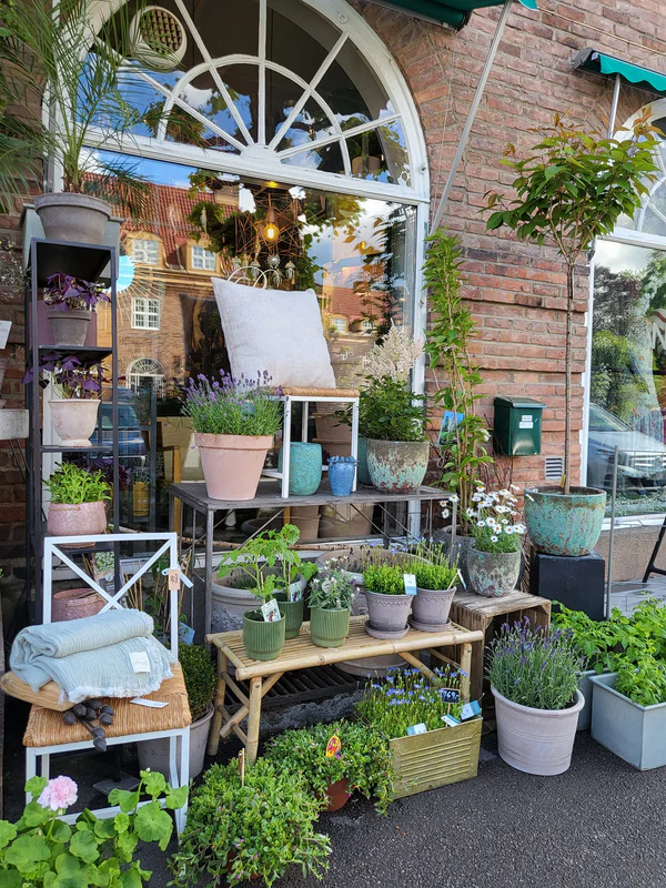 Damplass Blomster